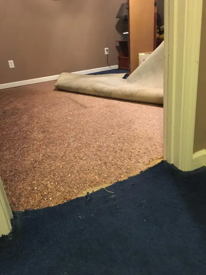 Carpet pad removal revealing water damage during Water Mitigation Services in Telford
